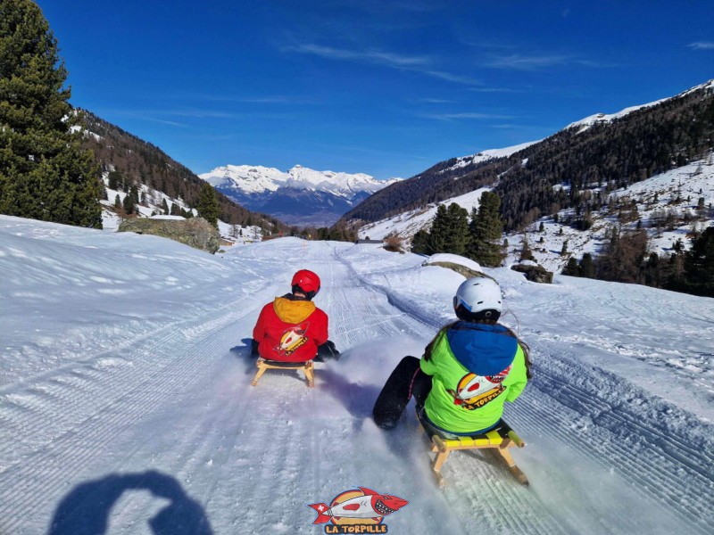 Zone supérieure, Piste de luge d'hiver de Tortin - Siviez, val de Nendaz.