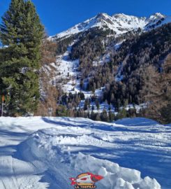 🛷 Piste de Luge d’Hiver à Siviez / Nendaz