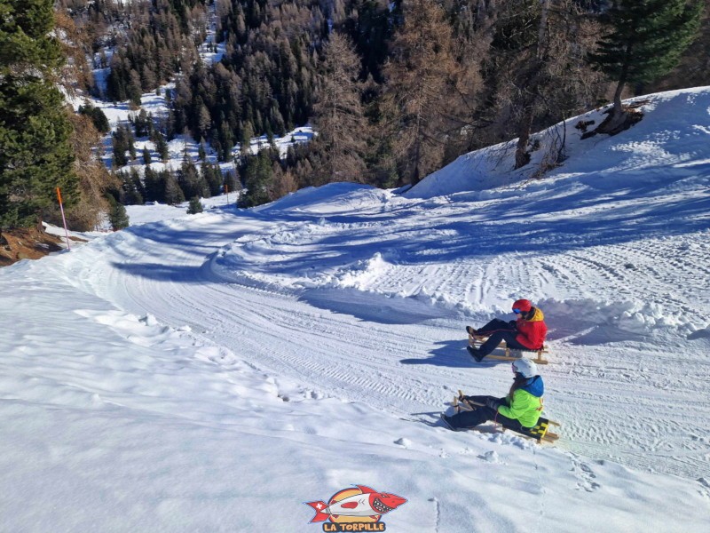 Zone intermédiaire, Piste de luge d'hiver de Tortin - Siviez, val de Nendaz.