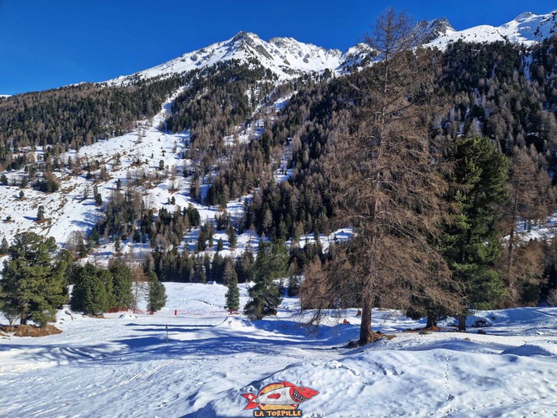 Zone intermédiaire, Piste de luge d'hiver de Tortin - Siviez, val de Nendaz.