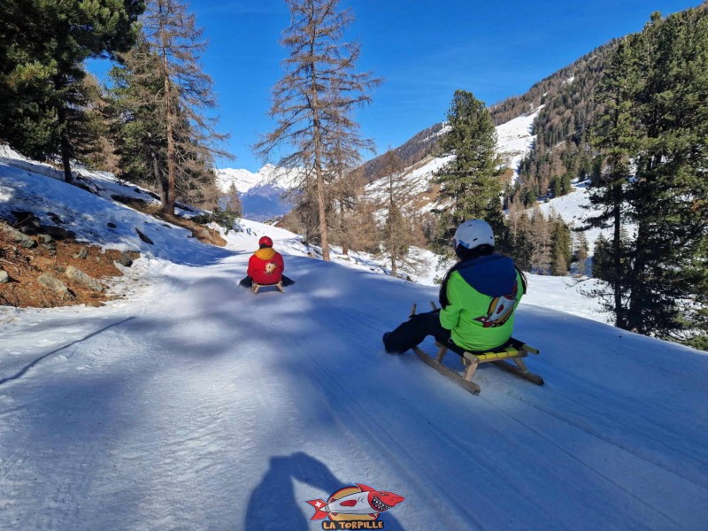 Le passage dans une zone boisée. Piste de luge d'hiver de Tortin - Siviez, val de Nendaz.