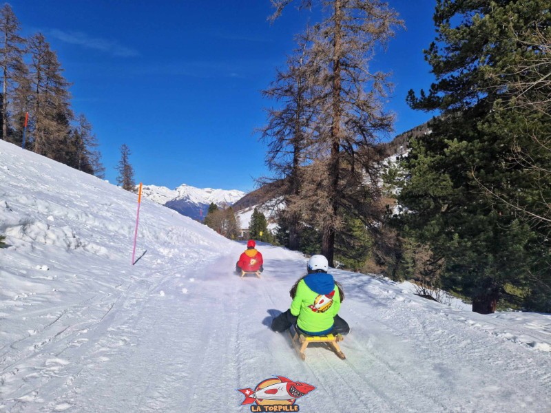 Le passage dans une zone boisée. Piste de luge de Tortin - Siviez, val de Nendaz.