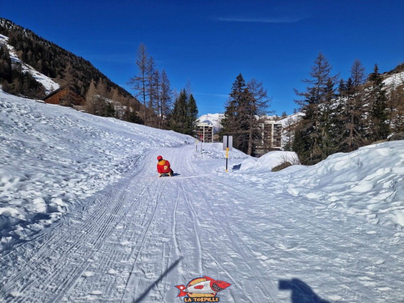 Le passage dans une zone boisée. Piste de luge de Tortin - Siviez, val de Nendaz.