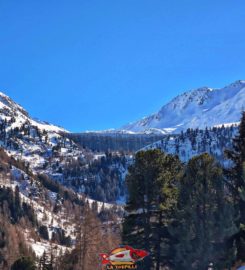 🛷 Piste de Luge d’Hiver à Siviez / Nendaz