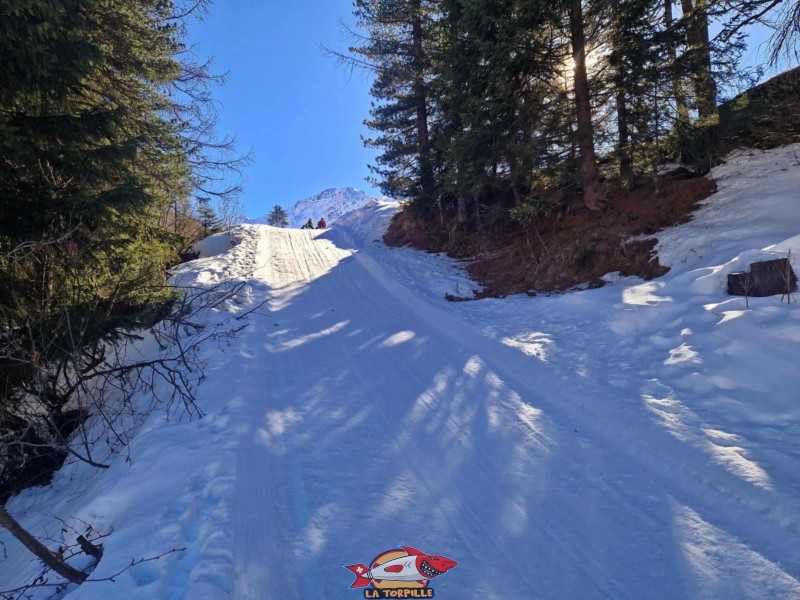 La dernière descente et le passage à côté des blocs d'immeuble de Siviez. Piste de luge de Tortin - Siviez, val de Nendaz.