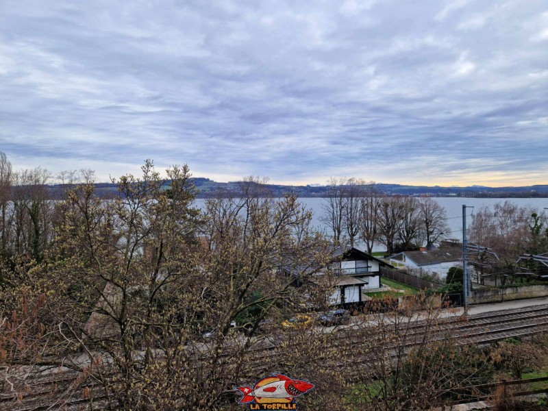 Pied du château, Sud, La vue sur le lac de Neuchâtel depuis le jardin. Château de Grandson, Région Jura-Nord vaudois, Vaud, Suisse