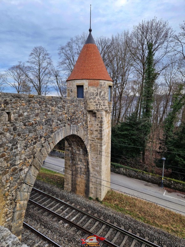 Pied du château, Sud, Tourelles. Château de Grandson, Région Jura-Nord vaudois, Vaud, Suisse
