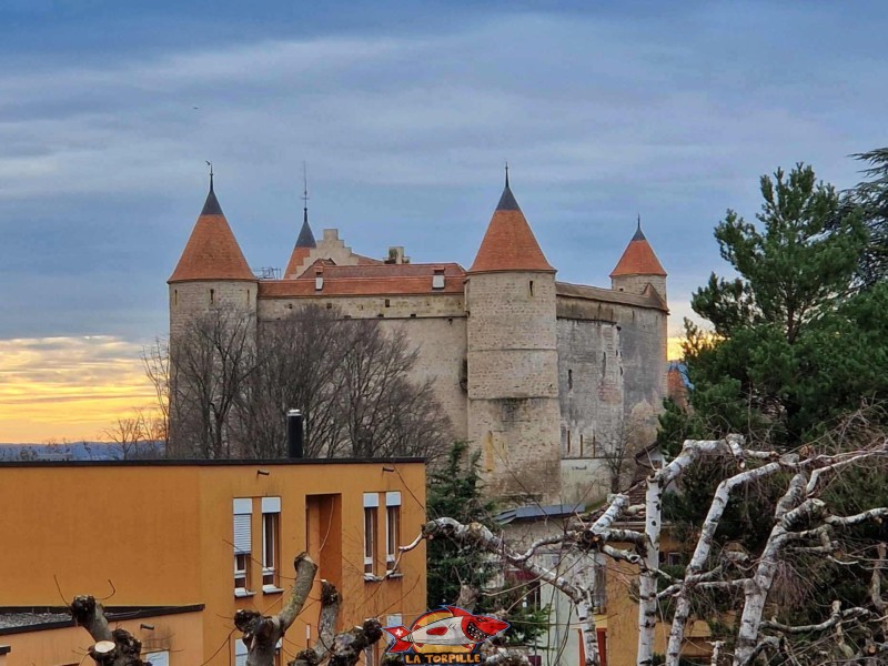 Le côté est du château, sur la gauche de l'image, depuis la rue de Neuchâtel. Château de Grandson, Région Jura-Nord vaudois, Vaud, Suisse