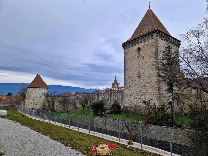 Depuis l'extérieur des remparts au sud-ouest, entre la tour de Lombardie (gauche) et la tour de Savoie (droite). Collégiale Saint-Laurent d'Estavayer-le-Lac, église catholique, broye, canton de Fribourg.