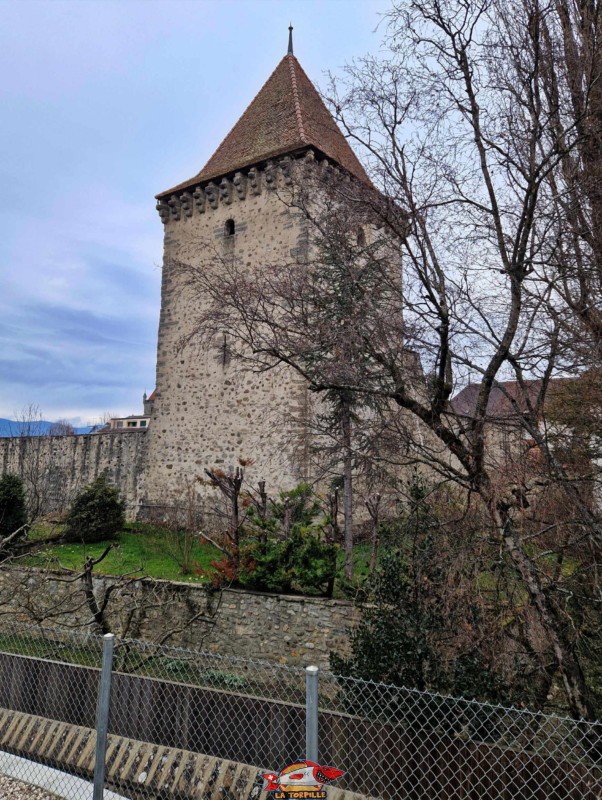 La tour de Savoie depuis l'école primaire d'Estavayer.