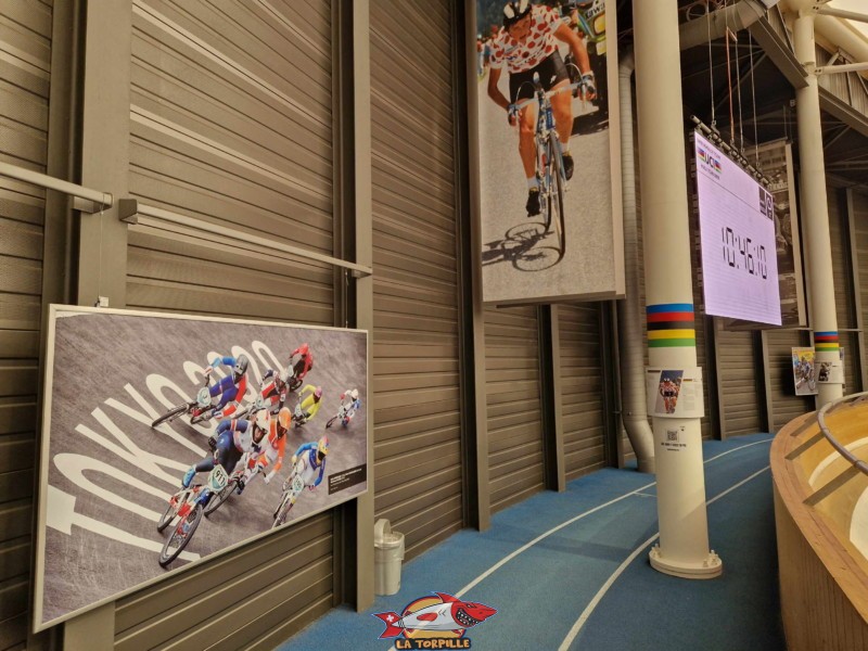 Des photographies, régulièrement renouvelées, sont exposées contre les murs du vélodrome. Elles permettent de découvrir le cyclisme à travers ses disciplines variées. Centre mondial du Cyclisme (CMC) de l'UCI (Union Cycliste international) à Aigle, canton de Vaud.