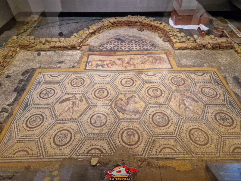 La vue d'ensemble sur la mosaïque. Mosaïque de Bacchus et Ariane. Musée romain de Vallon, canton de Fribourg.