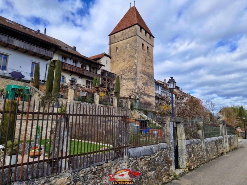 Le tour depuis le chemin des Terreaux. Tour de Benneville, Ville médiévale d'Avenches, vieille ville, région de la Broye, canton de Vaud.