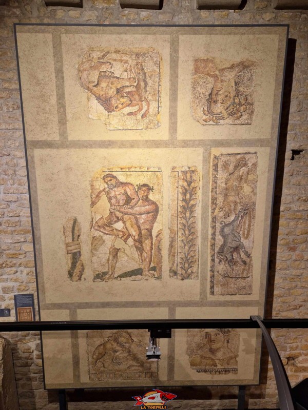 Les mosaïques.. Musée Romain d'Avenches, canton de Vaud.