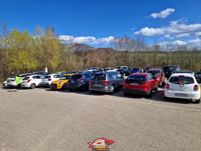 Le parking se trouve à moins de 100 mètres de l'entrée du zoo.