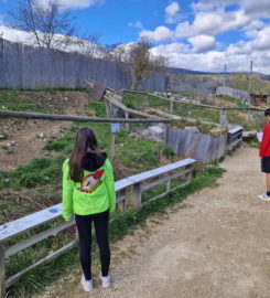 🐅 Zoo de la Garenne – Le Vaud