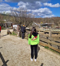 🐅 Zoo de la Garenne – Le Vaud