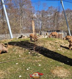 🐅 Zoo de la Garenne – Le Vaud