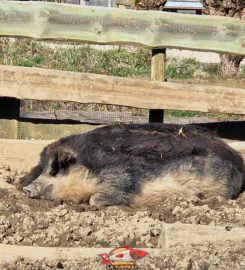 🐅 Zoo de la Garenne – Le Vaud