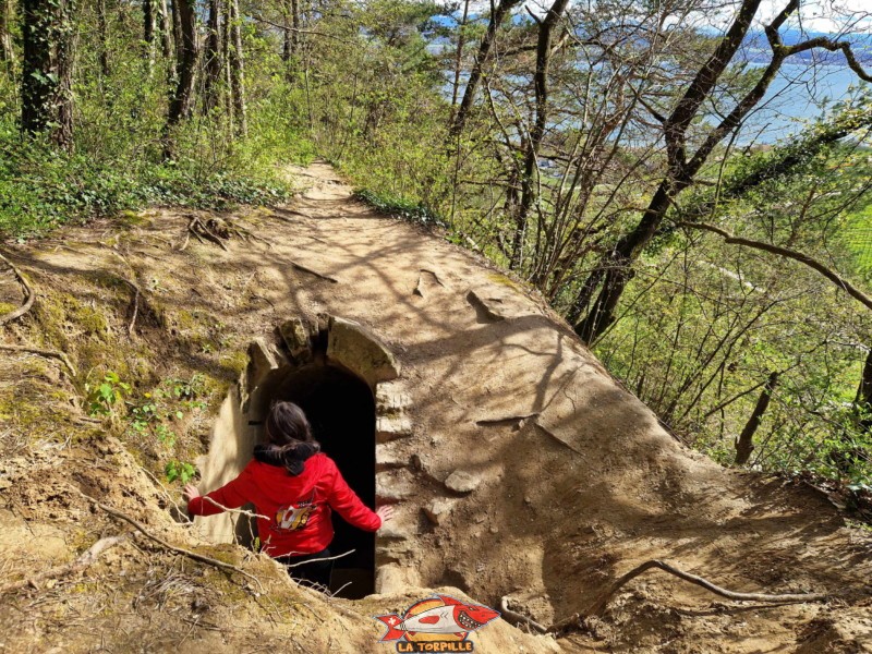 L'ouverture d'un ancien poste de combat. Grottes des Roches Grises de la Lamberta, Lugnorre, Mont-Vully.