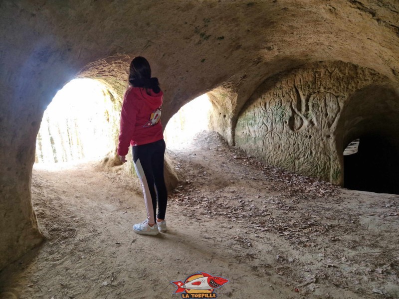 Des ouvertures par lesquelles on entre dans les grottes et qui étaient utilisées comme poste de combat avec des armes comme des mitrailleuses. Grottes des Roches Grises de la Lamberta, Lugnorre, Mont-Vully.