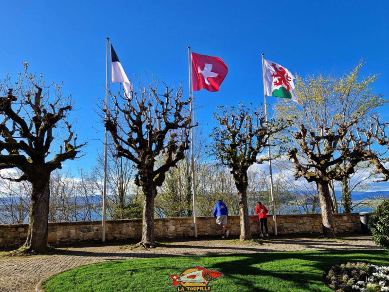 Les drapeaux du canton de Fribourg, de la Suisse et de la ville de Morat. Cour du château.
