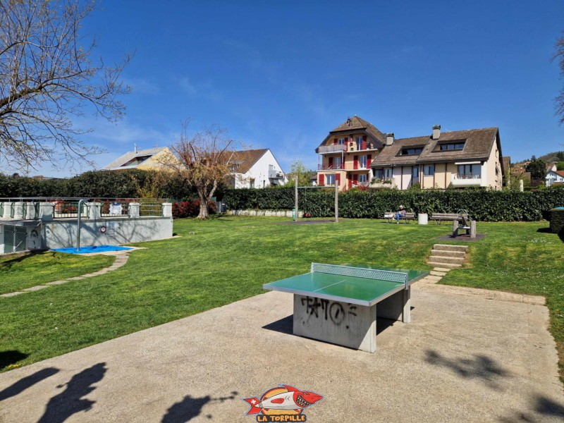 Bande Herbeuse, Plage de la Pierre Ronde à Paudex au bord du lac Léman. 