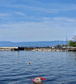 🏖️ Plage de la Pierre Ronde – Paudex