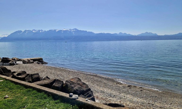 🏖️ Plage du Port de Paudex