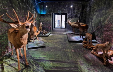 🐎🍁 Musée de la Nature du Valais – Sion
