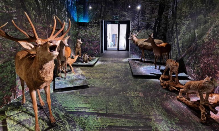 🐎🍁 Musée de la Nature du Valais – Sion