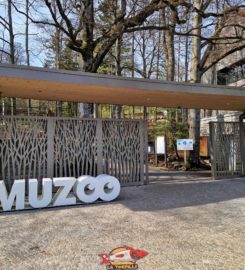 🐅🐊🐎 Muzoo – La Chaux-de-Fonds