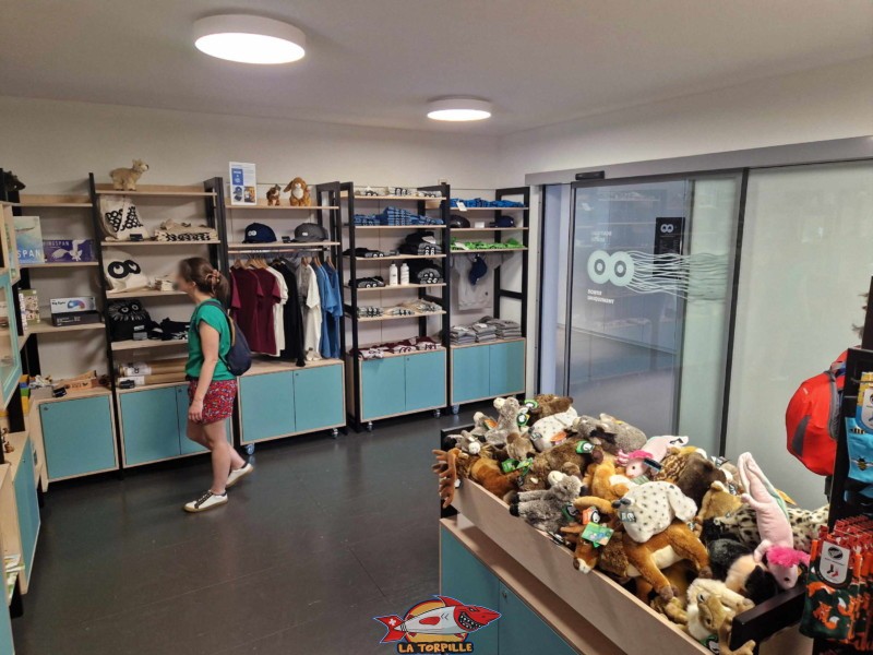 La boutique du musée d'histoire naturelle se trouve entre la réception et la sortie. Muzoo, Bois du Petit-Château, La Chaux-de-Fonds