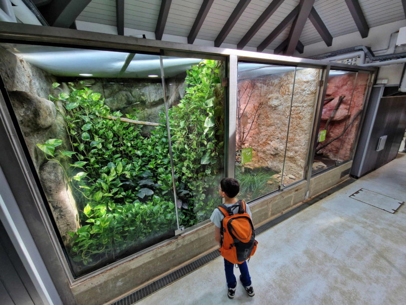 Le vivarium du Muzoo. Muzoo - La Chaux-de-Fonds