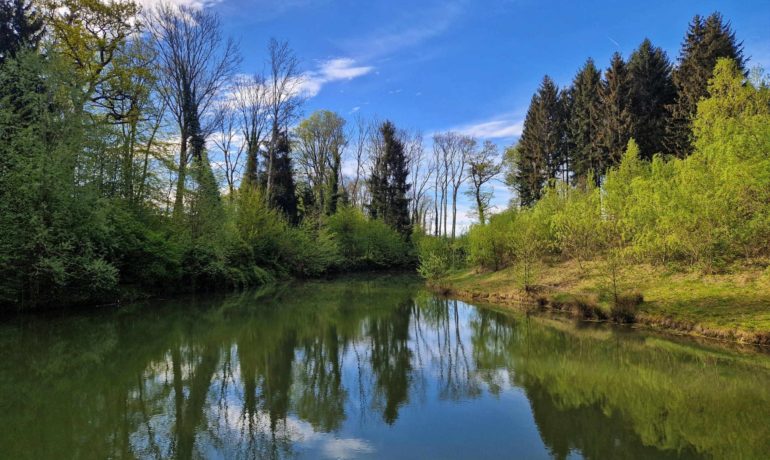 🚤 Étang du Bois Neuf – Etagnières