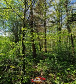 🚤 Lac Coffy – Boussens