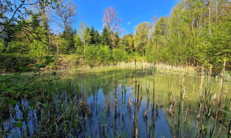 🚤 Étang du Buron – Panthéréaz