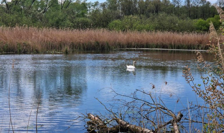 🚤 Étang des Puits – Bavois