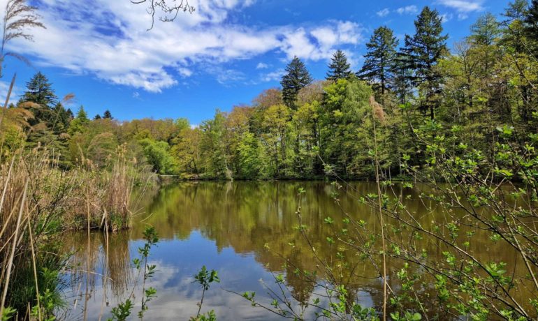 🚤 Etang du Sépey – Cossonay