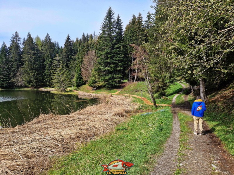 Côté Nord. Lac des Joncs, Les Paccots, Châte-St-Denis.