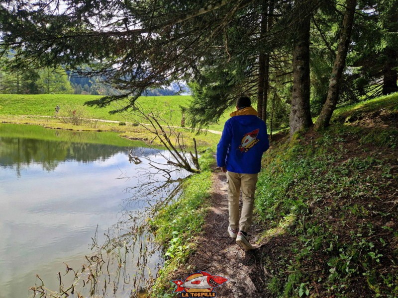 Côté Ouest. Lac des Joncs, Les Paccots, Châte-St-Denis.