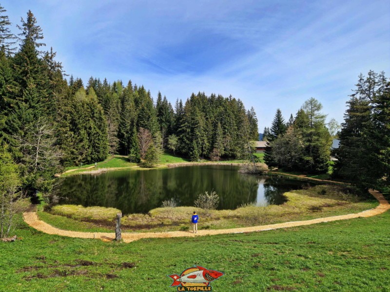 Côté Sud. Lac des Joncs, Les Paccots, Châte-St-Denis.