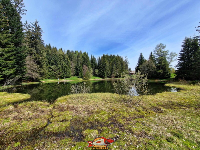 Côté Sud. Lac des Joncs, Les Paccots, Châte-St-Denis.