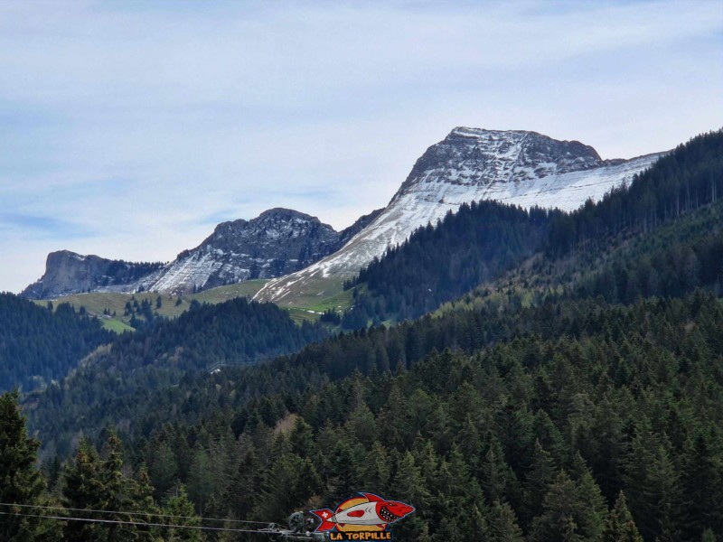 La vue direction est. De gauche à droite, le Vanil Blanc, le Grand Sex et la Dent de Lys. Lac des Joncs, Les Paccots, Châte-St-Denis.