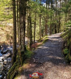 ⛰️ Gorges de l’Avançon – Les Plans-sur-Bex