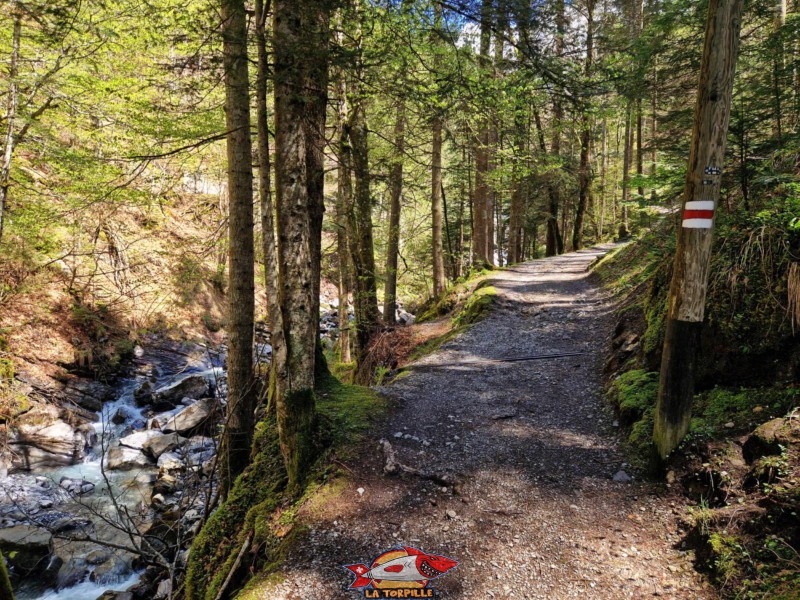 Montée par l'Échelle. Gorges de l'Avançon, Les Plans-sur-Bex.