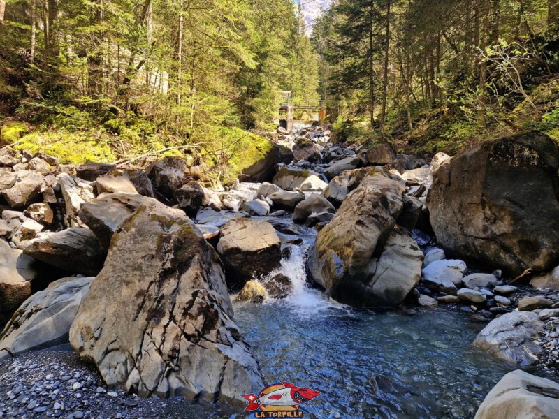 Montée par l'Échelle. Gorges de l'Avançon, Les Plans-sur-Bex.