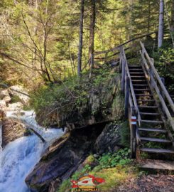 ⛰️ Gorges de l’Avançon – Les Plans-sur-Bex