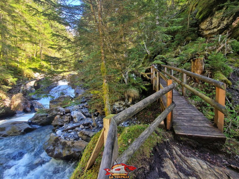 Montée par l'Échelle. Gorges de l'Avançon, Les Plans-sur-Bex.