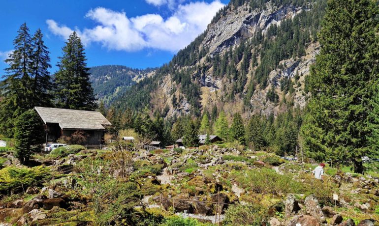 🌼 Jardin Botanique Alpin La Thomasia – Pont de Nant